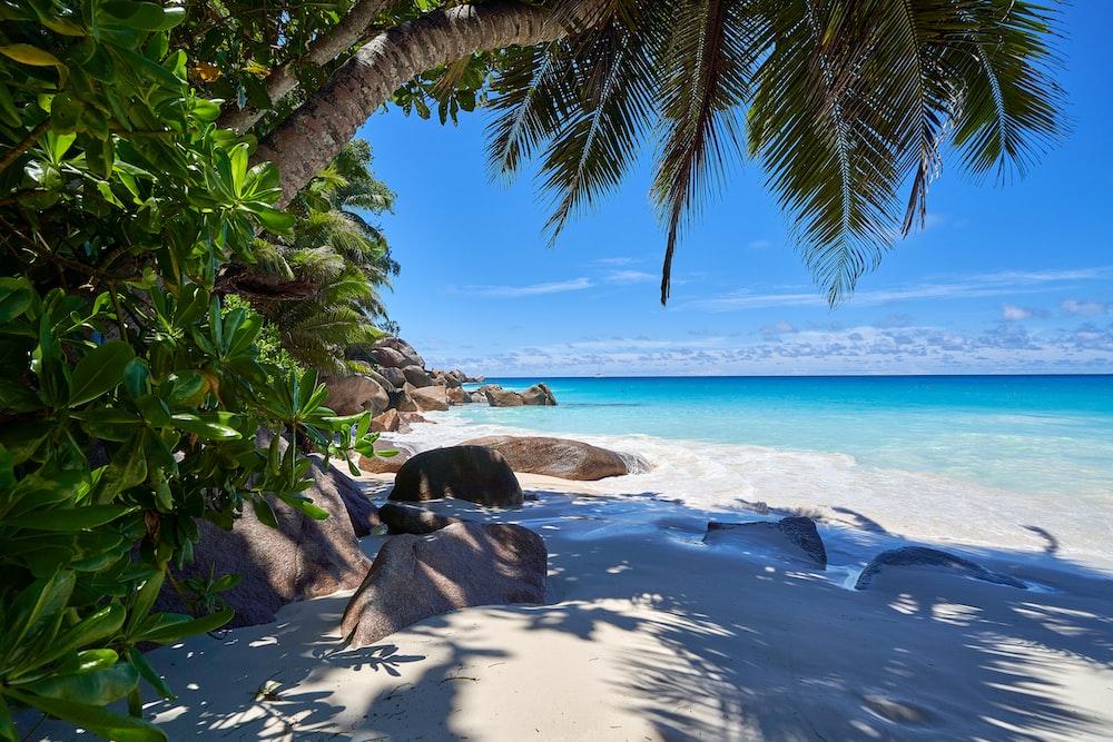Seychelles: For a Secluded Beach Vacation
